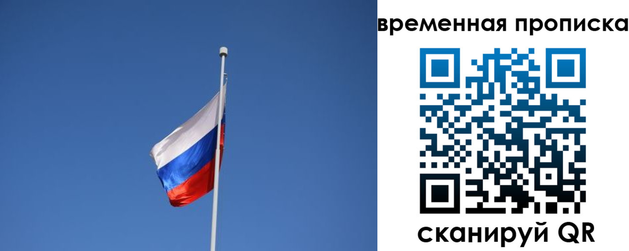 временная регистрация гарантия в Московской области